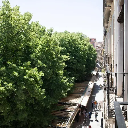 Lomena * Granada